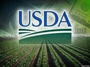نگاهی به جدیدترین گزارش USDA در خصوص بازار غلات