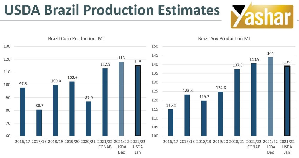 نگاهی به جدیدترین گزارش USDA در خصوص بازار غلات
