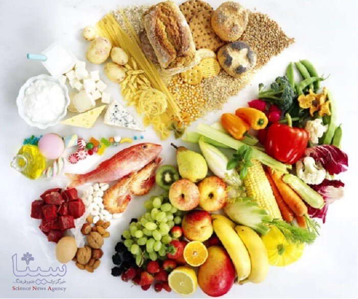 بهترین برنامه رژیم غذایی کاهش وزن چیست؟