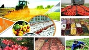 ۳ اقدام وزارت جهاد کشاورزی برای برگشت نخوردن محصولات صادراتی