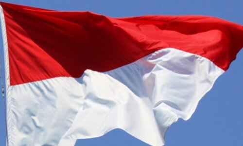 محدودیت های صادراتی روغن پالم اندونزی برای کنترل قیمت ها