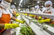 ورود به بازار کار صنایع غذایی؛ چالش‌ها و الزامات