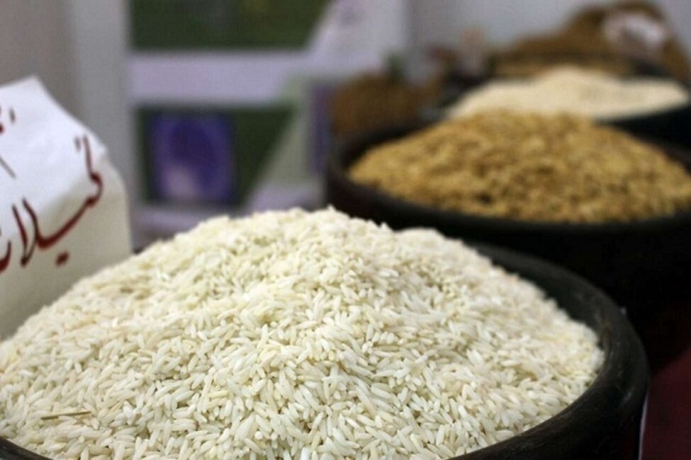 تعیین تکلیف واردات برنج در کمیته‌های تأمین امنیت غذایی جهاد کشاورزی/ ۳۰۰ هزار تن برنج وارد کشور شده است