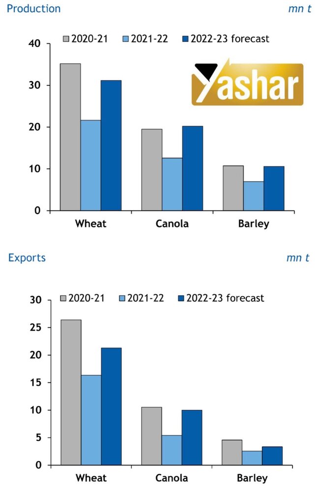 پیش بینی رکورد شکنی برداشت کانولا در کانادا + نمودار میزان برداشت و صادرات  گندم، کانولا و جو در کانادا