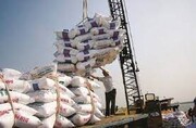 سهم ۲۰ درصدی شرکت بازرگانی دولتی ایران در تأمین برنج وارداتی/دو عامل مؤثر در ثبات بازار برنج کشور