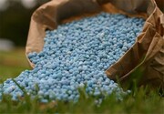 دستور مهم وزیر جهاد کشاورزی درباره کودهای شیمیایی؛ کاهش قیمت در راه است؟