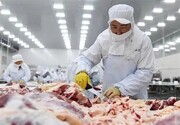 آشفته‌بازار گوشت در استان کهگیلویه و بویراحمد/ راز یکه‌تازی دلالان و جیب خالی تولید کننده و مصرف‌کننده چیست؟
