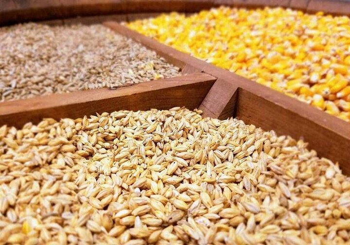 وزارت جهاد کشاورزی قیمت های جدید ذرت، جو، کنجاله و دانه سویای وارداتی را اعلام کرد