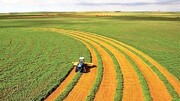 ثبت بیش از یک هزار درخواست فعالیت در بخش کشاورزی چهارمحال و بختیاری