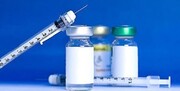 تاثیر ۵ درصدی تاخیر در تامین واکسن‌های دامی بر قیمت نهایی