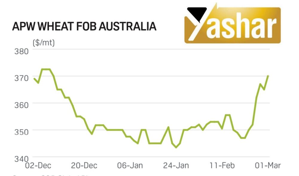 گندم استرالیایی 10 دلار گران شد +نمودار