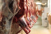 رئیس اتحادیه گوشت: بازار به شدت دچار رکود شده، قیمت‌ها بالاست؛ مردم توان خرید ندارند