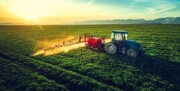 صادرات محصولات کشاورزی روسیه رکورد جدیدی ثبت کرد