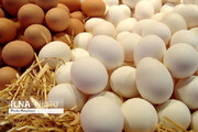 تخم‌مرغ تا پایان سال تامین است/ قیمت هر کیلو سویا در بازار آزاد؛ ۲۵ هزار تومان