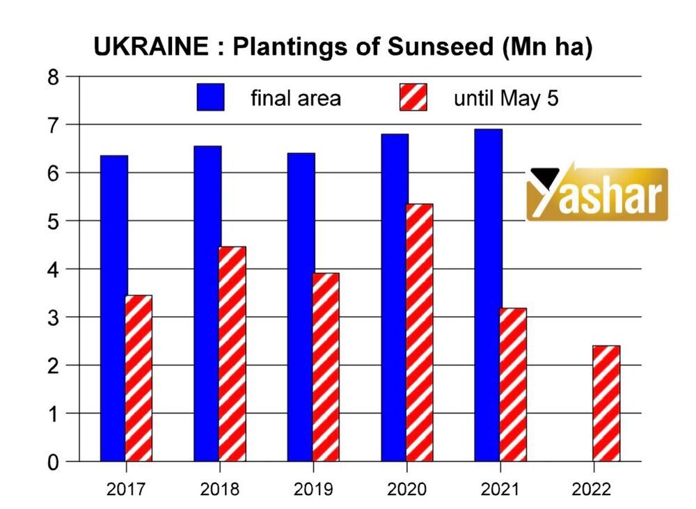 بررسی سطح زیر کشت آفتابگردان در اوکراین + نموار و قیمت ها