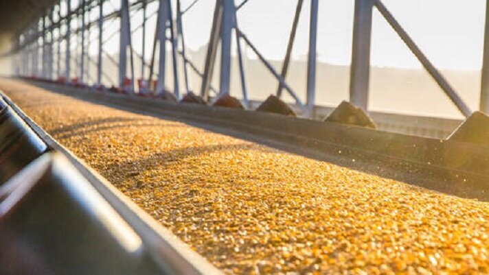 گندم و روغن خام از عمده‌ترین محصولات وارداتی غذایی کشور