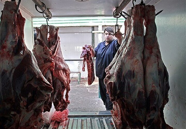 پیشنهاد دامداران برای خرید توافقی گوشت قرمز اعلام شد