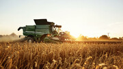 خرید تضمینی گندم در کشور از مرز ۴ میلیون تن گذشت