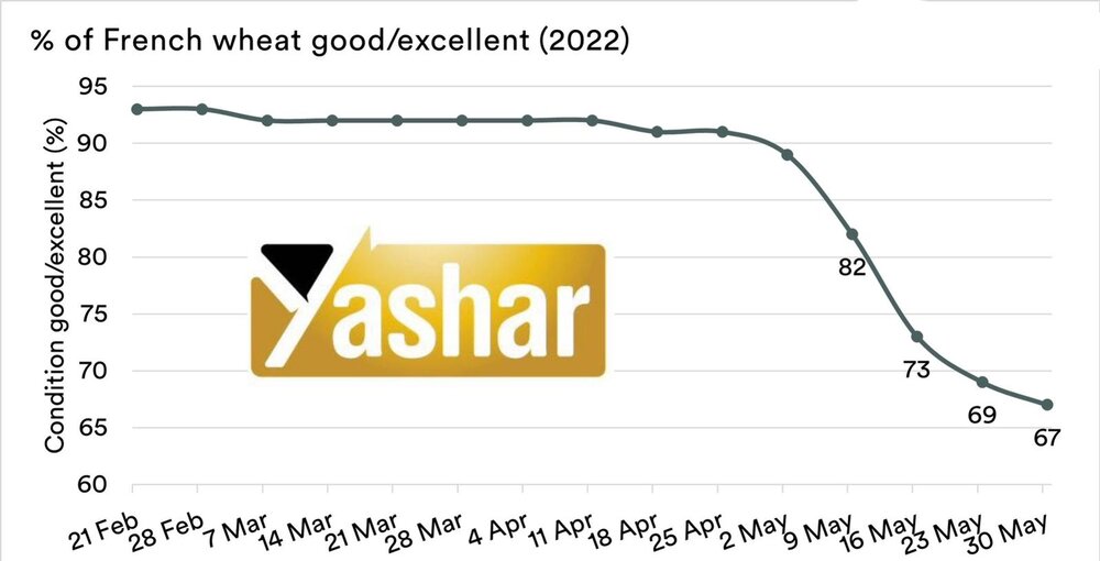 عوارض صادراتی غلات روسیه برای تاریخ ٨ الی ١٤ ماه ژوئن اعلام شد + نمودار برداشت گندم فرانسه