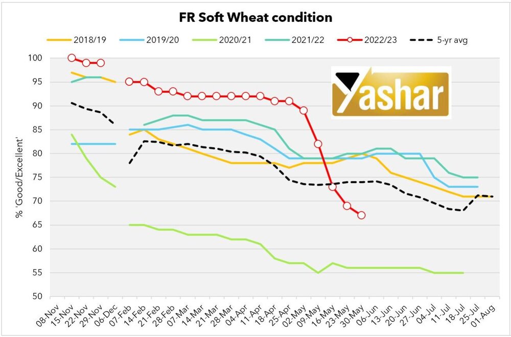 عوارض صادراتی غلات روسیه برای تاریخ ٨ الی ١٤ ماه ژوئن اعلام شد + نمودار برداشت گندم فرانسه