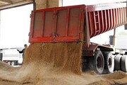 ارسال دو میلیون و ۷۴۰ هزار تن گندم از بنادر کشور به ۱۷۰۰ مقصد داخلی