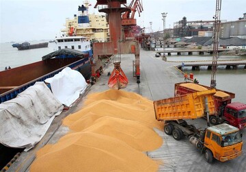 فهرست کد تعرفه های ترخیص درصدی کالاهای بخش کشاورزی ابلاغ شد