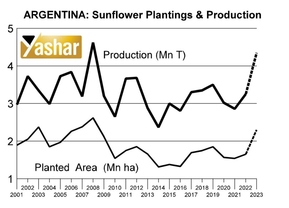 بررسی روند برداشت دانه آفتابگردان در آرژانتین