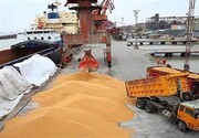 ورود ۴۰۰ هزار تن گندم و روغن خام از سه بندر مازندران به کشور