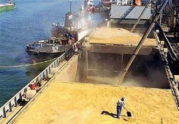 ۱۰۰ هزار تن گندمِ «تایتانیکِ» کشتی‌های باری در جنوب تخلیه شد