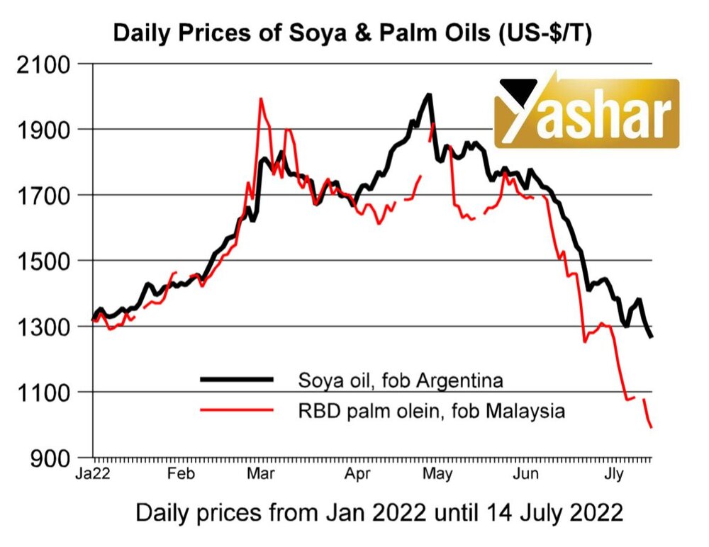 افت شدید قیمت انواع روغن خام/ سقوط آزاد قیمت روغن پالم