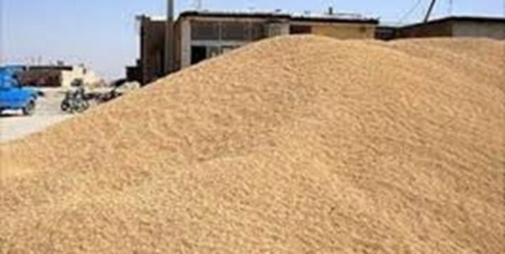 کشتی حامل ۲۷ هزار تن گندم در بوشهر پهلو می‌گیرد