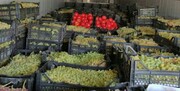۲۰ تن گوجه‌فرنگی قاچاق در گمرک سومار کشف شد/ جاسازی خلاقانه در انگورهای صادراتی