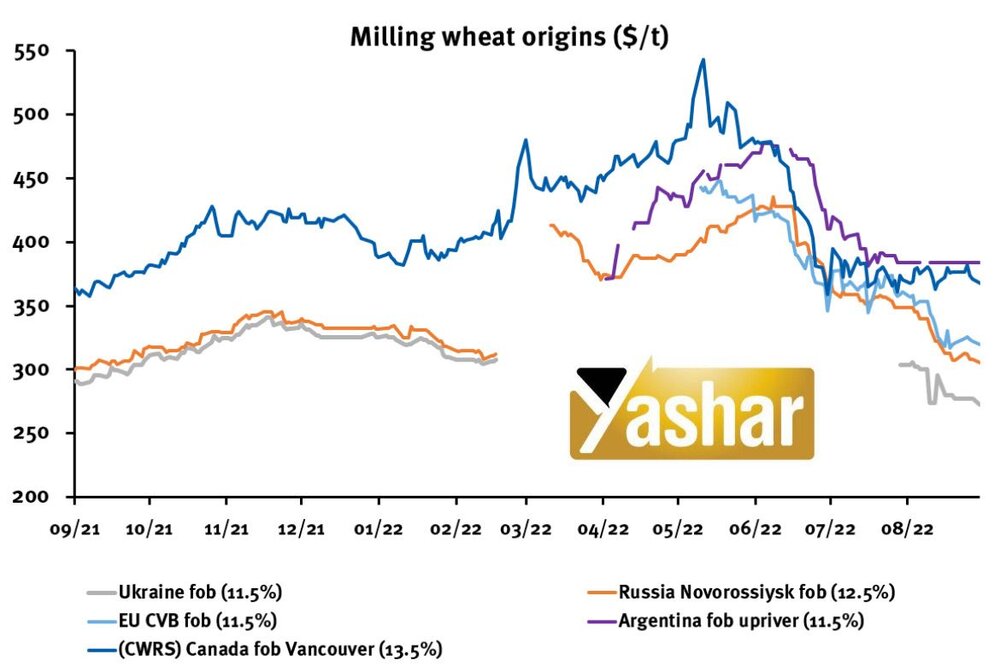روسیه عوارض صادراتی غلات برای تاریخ ١٤ الی ٢٠ ماه سپتامبر را اعلام کرد