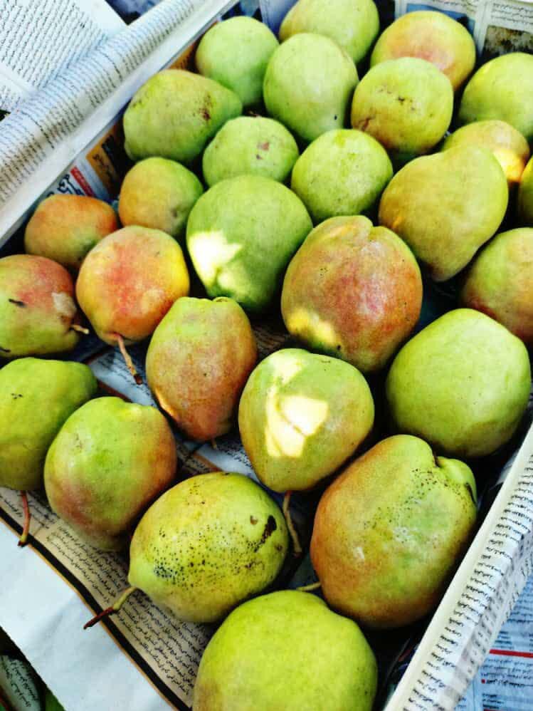 پاییز و توصیههای طب سنتی؛ از خوردن انار تا عناب