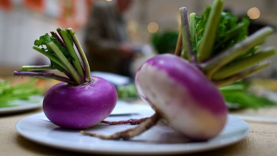 پاییز و توصیههای طب سنتی؛ از خوردن انار تا عناب