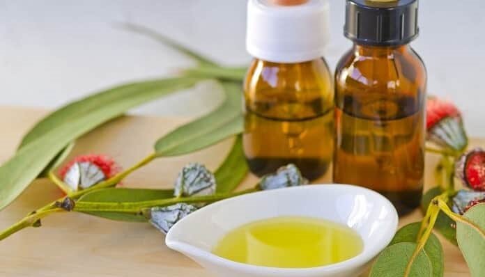 پاییز و توصیههای طب سنتی؛ از خوردن انار تا عناب