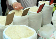 کاهش قیمت برنج ادامه دارد