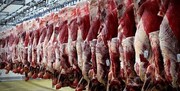 کمبود دام دلیل افزایش قیمت گوشت قرمز