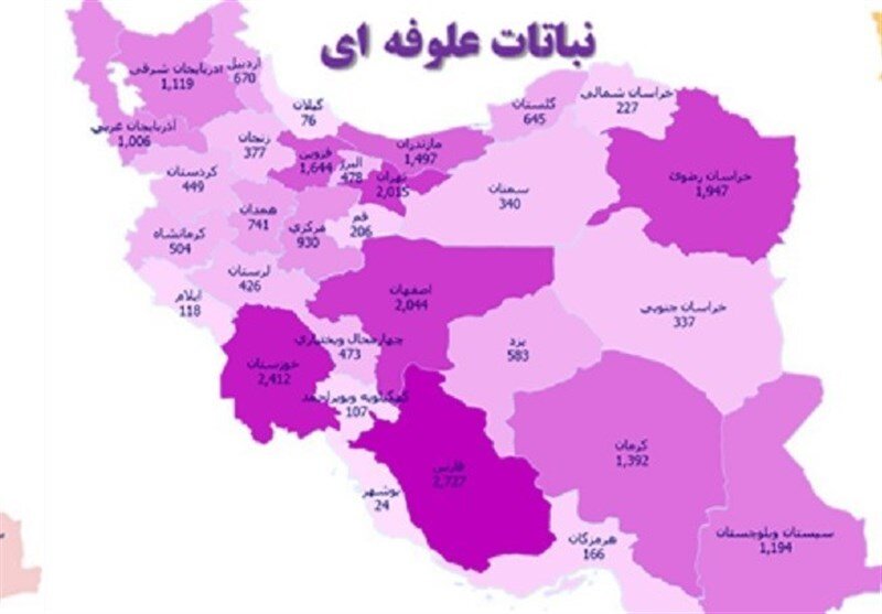 طبقه بندی استانهای کشور برای تولید علوفه اعلام شد + اینفوگرافیک