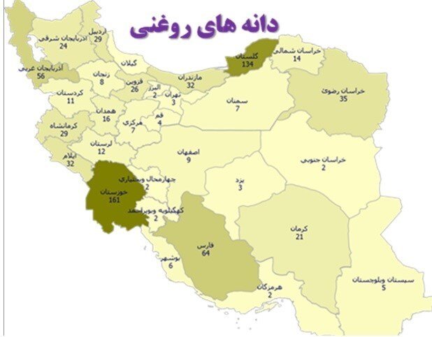 طبقه بندی استانهای کشور برای تولید دانههای روغنی + اینفوگرافیک