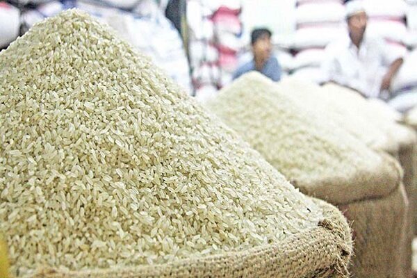  صادرات برنج ایرانی به روسیه به صورت محدود آغاز شد