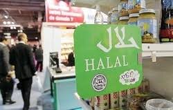 ایران از برند حلال جا ماند /سهم یک درصدی در غذای حلال