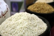 توزیع برنج خارجی با قیمت ۳۵ هزار تومان آغاز شد