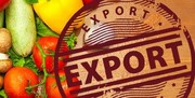 صادرات ۱۱ هزار تن میوه و سبزیجات از ازبکستان به ایران