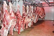 چرا با وجود افزایش عرضه گوشت، کاهش قیمت صورت نمی‌گیرد؟ + فیلم