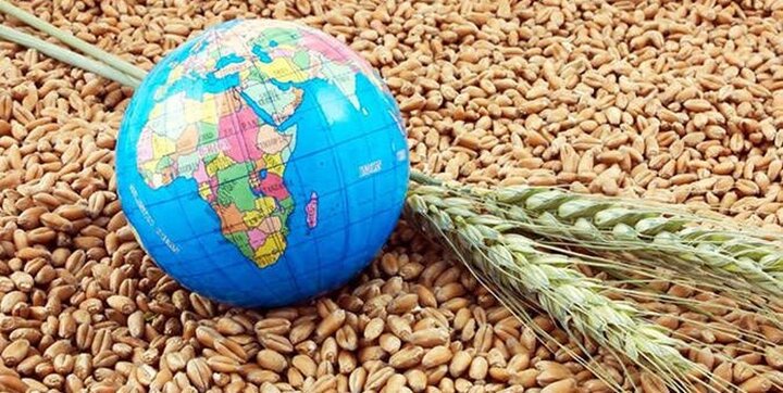 بررسی آسیب ‌پذیری امنیت غذایی جهان/ چشم انداز بازار مواد غذایی