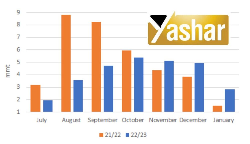 نگاهی به وضعیت تولید و بازار گندم در سال ۲۰۲۳