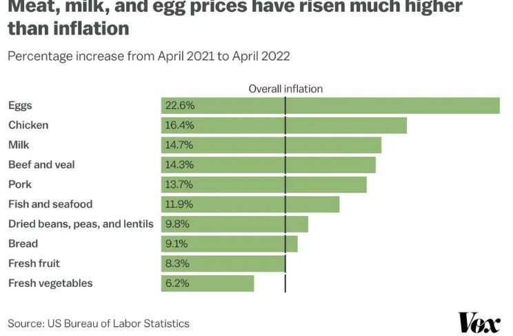 افزایش قیمت جهانی گوشت به بیشترین رقم تاریخی/ دنیا درگیر گرانی است