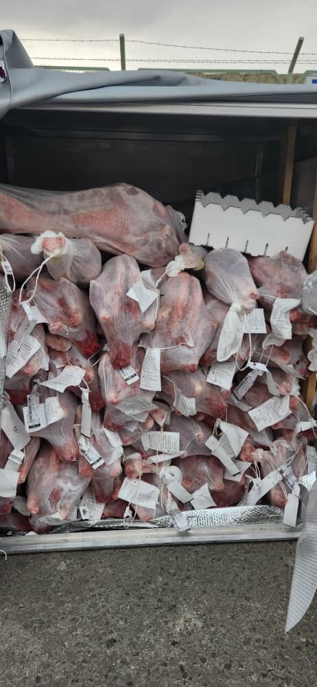 نخستین محموله گوشت وارداتی با کیفیت از استرالیا وارد ایران شد+ تصاویر