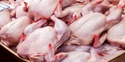 سهمیه بندی و محدودیت زمانی صادرات مرغ لغو شد